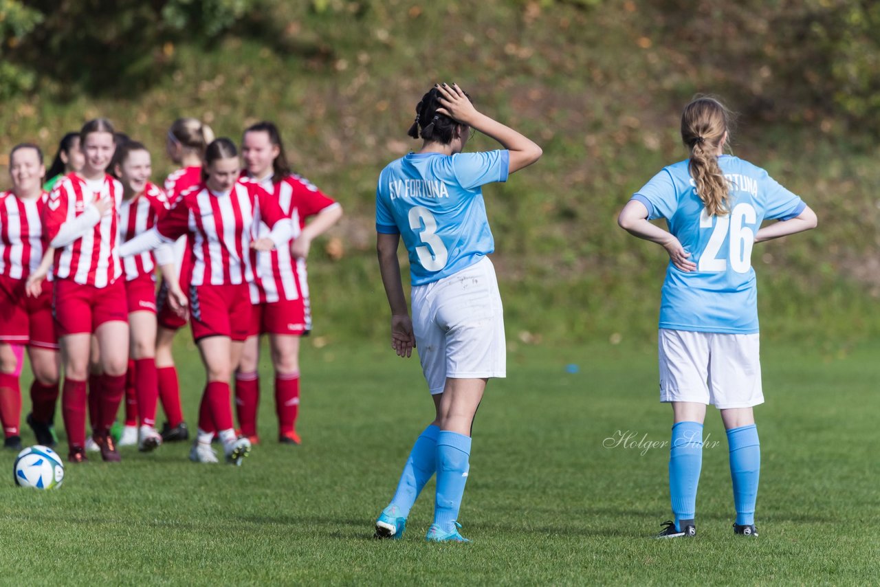 Bild 361 - wBJ TuS Tensfeld - SV Fortuna St. Juergen